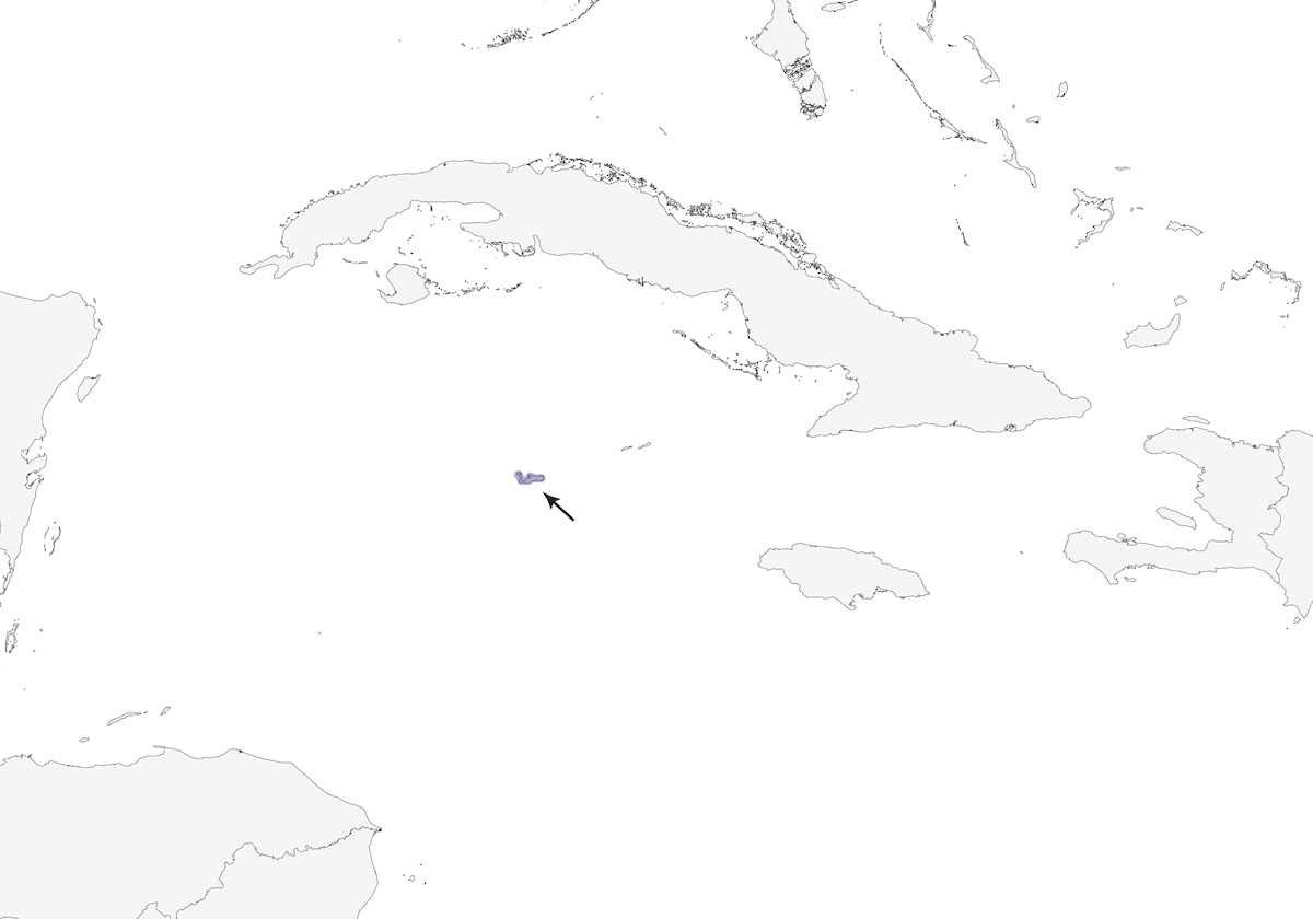 Grand-Cayman-Kernbeißer, Verbreitung 1