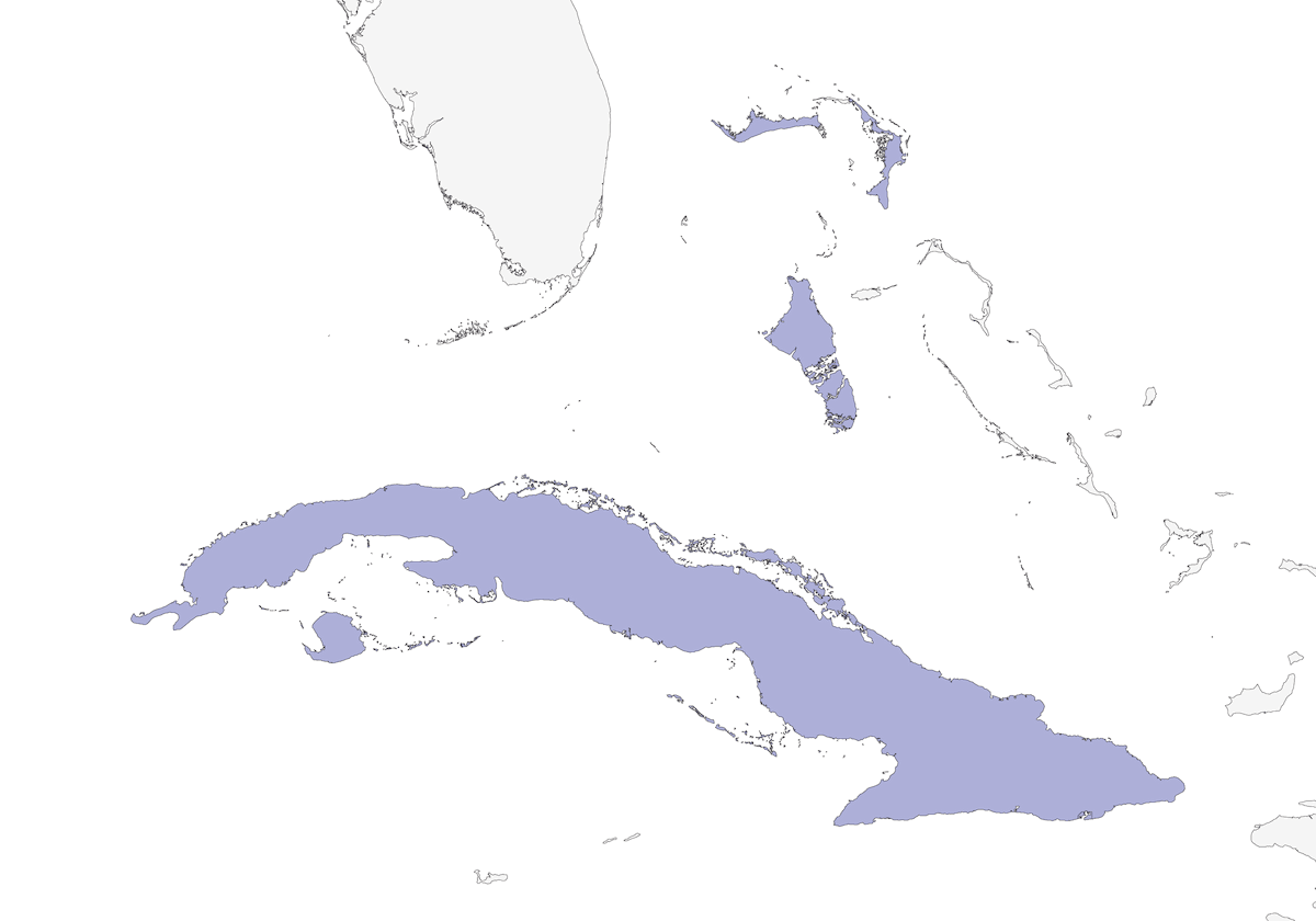 Cuban Emerald, Distribution 1