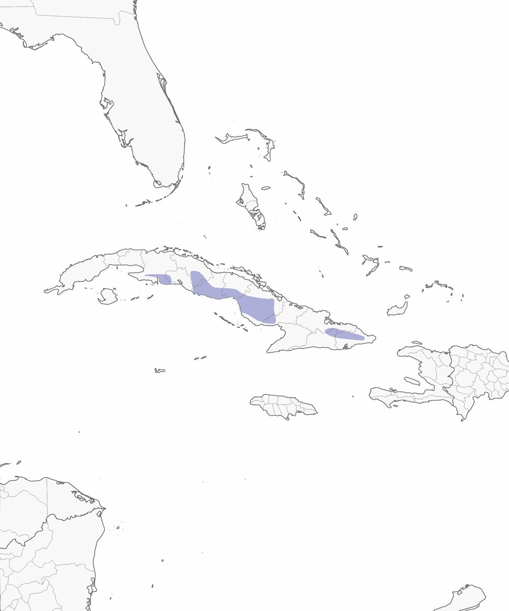 Cuban Parakeet, Distribution 1