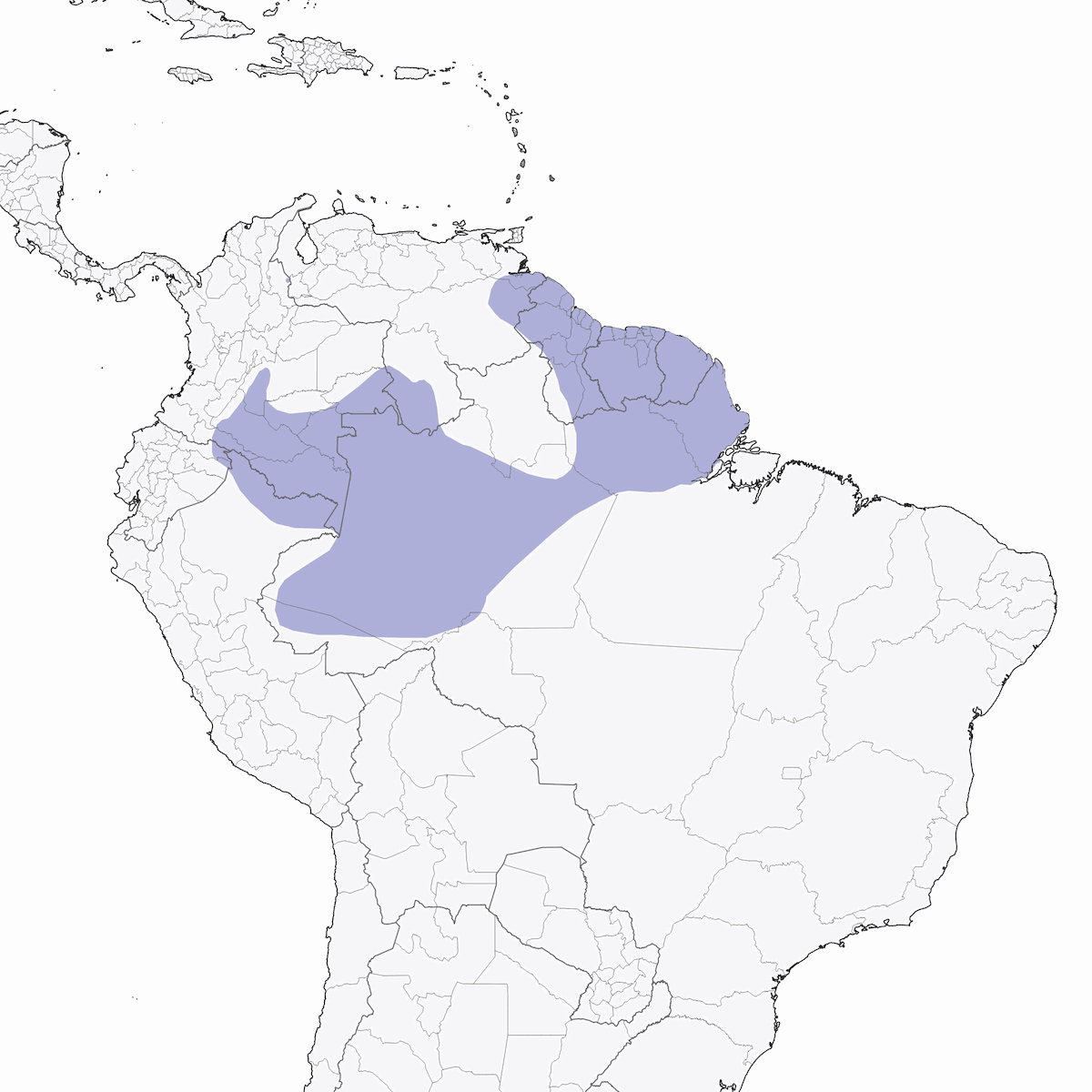 Curve-billed Scythebill, Distribution 1