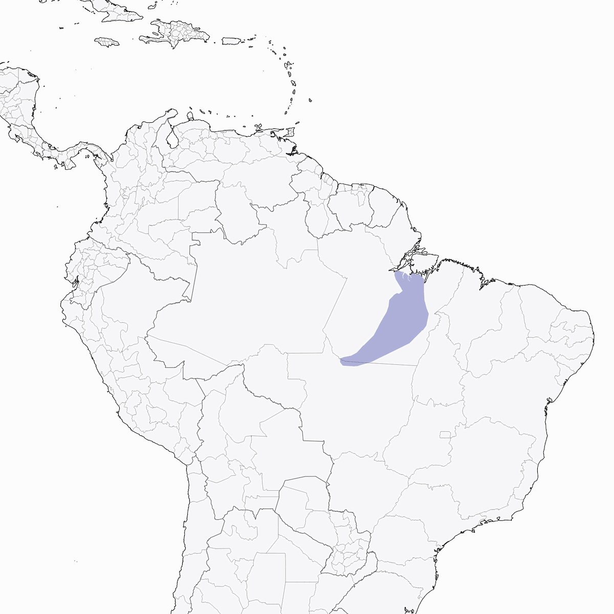 Xingu-Sensenschnabel, Verbreitung 1