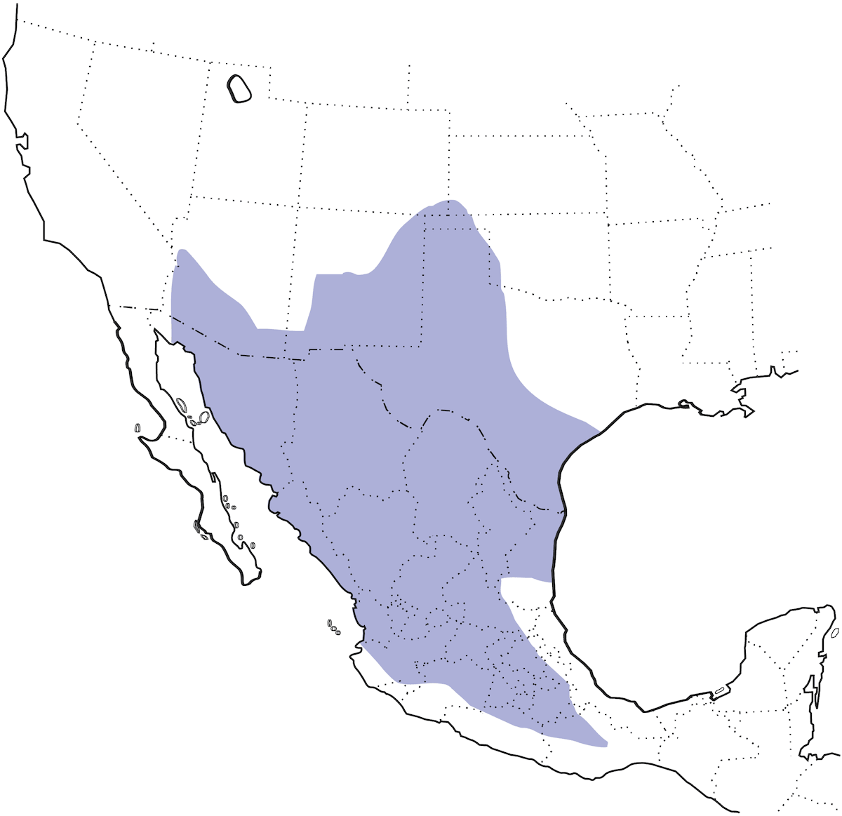 Curve-billed Thrasher, Distribution 1
