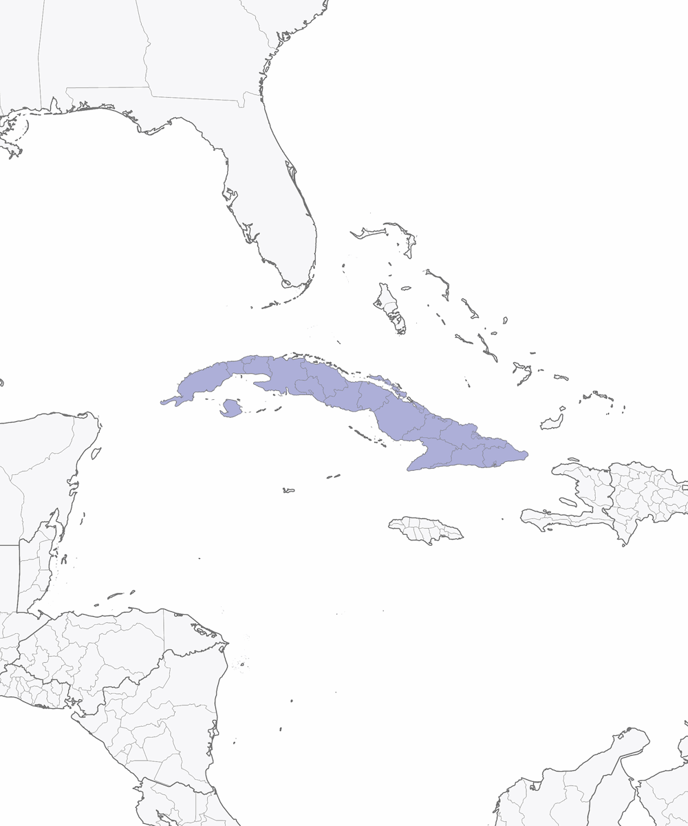 Cuban Tody, Distribution 1