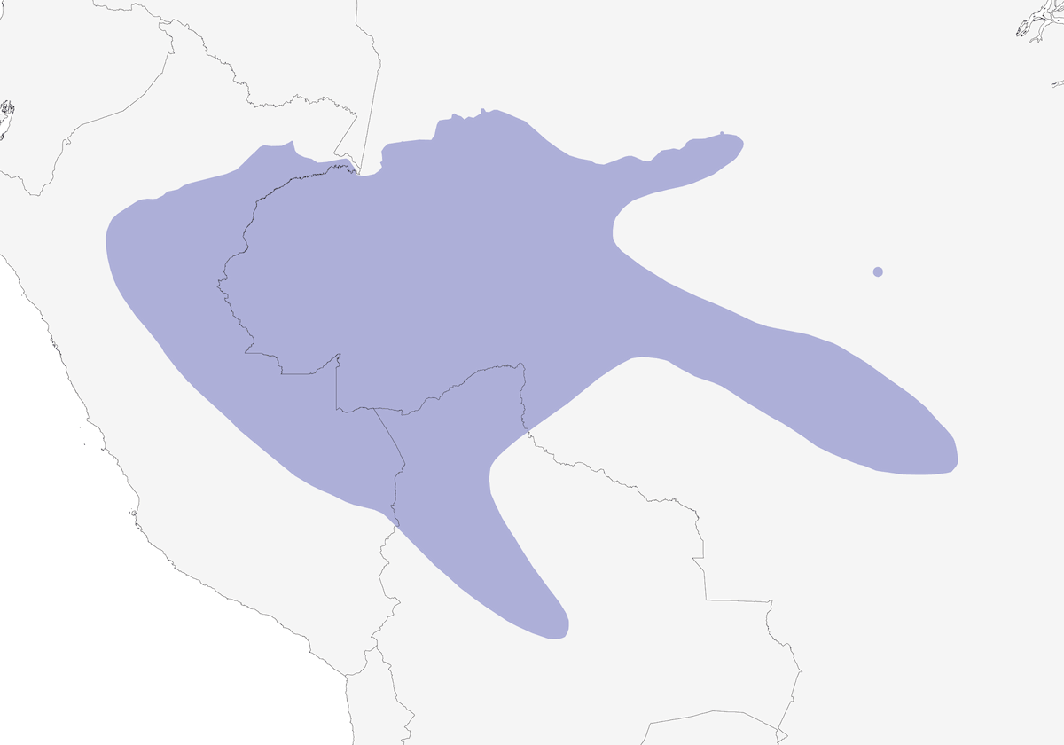 Arasarí crespo, Distribución 1