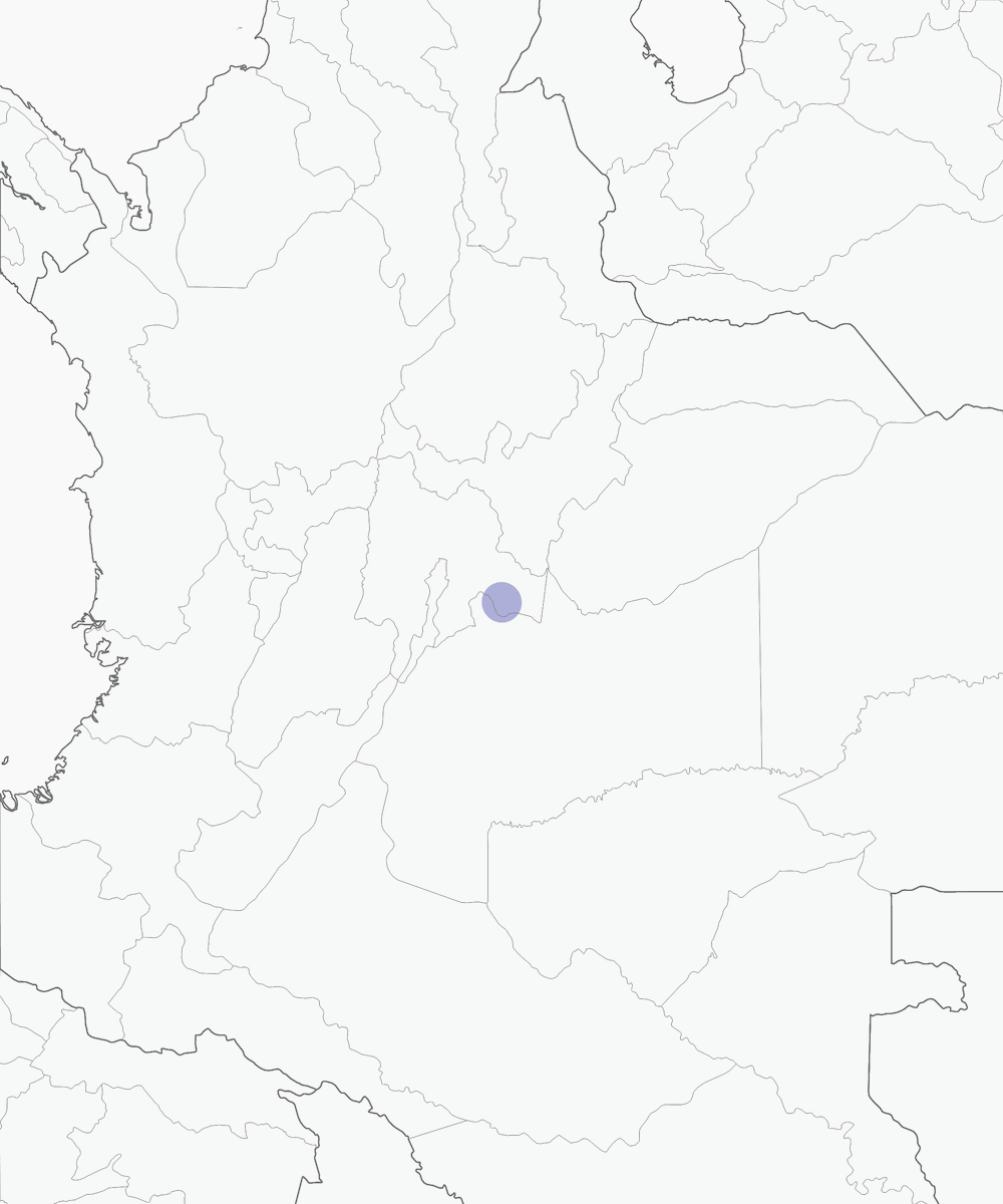 Pitta formichiera di Kaestner, Distribuzione 1
