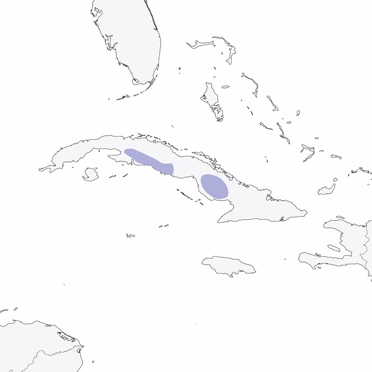 Corvo delle palme di Cuba, Distribuzione 1