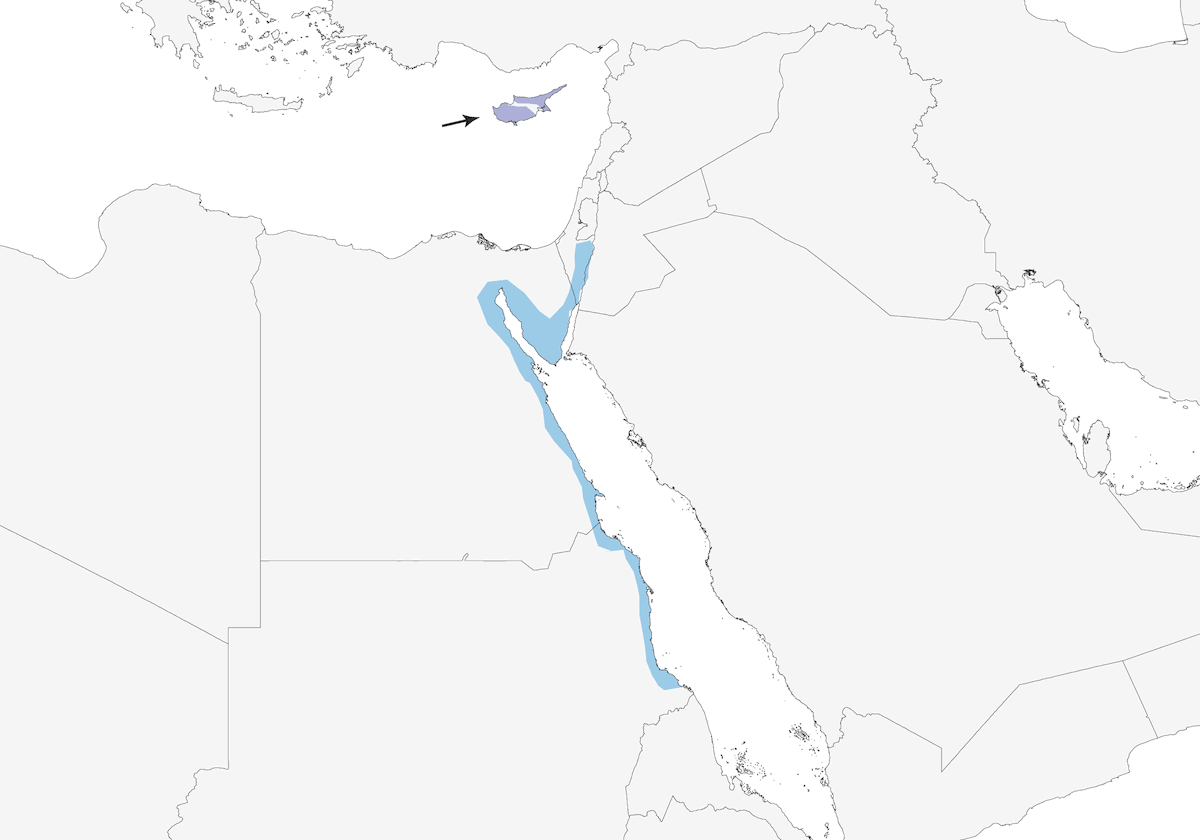 Cyprus Warbler, Distribution 1