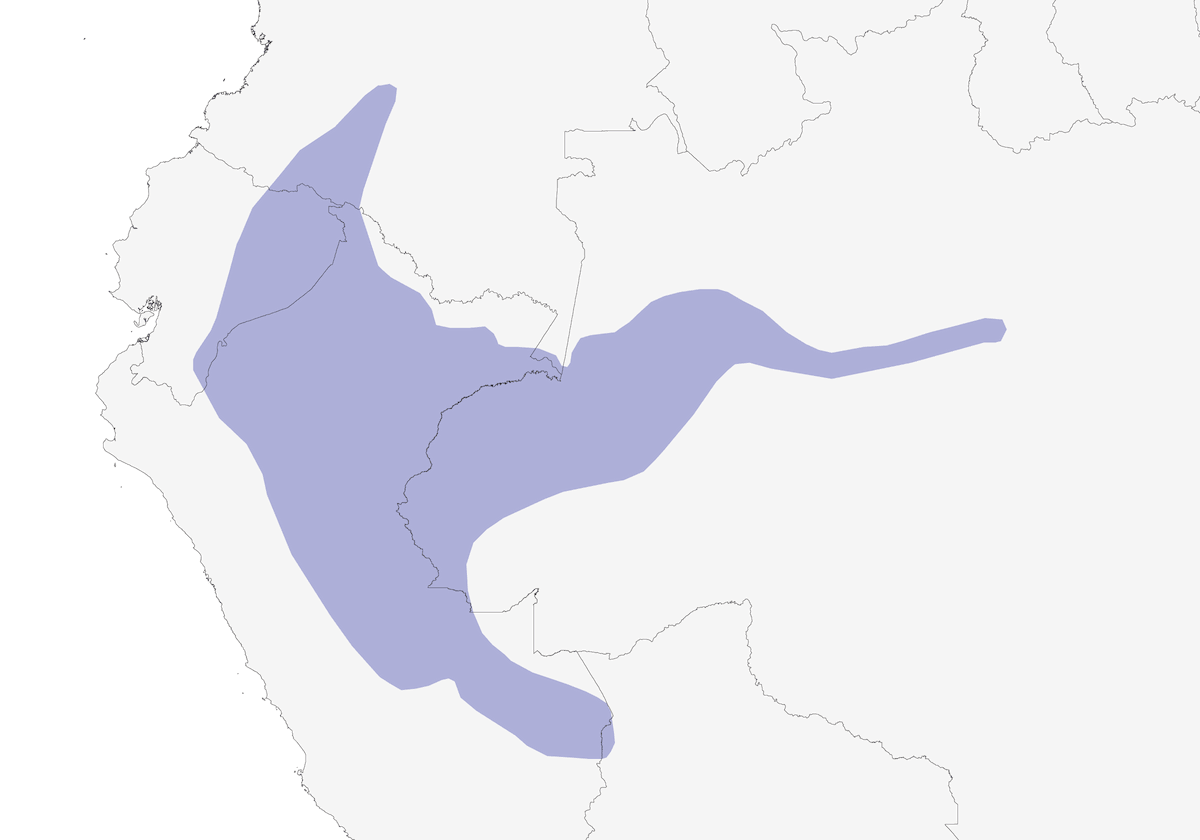 Codaspinosa pettoscuro, Distribuzione 1