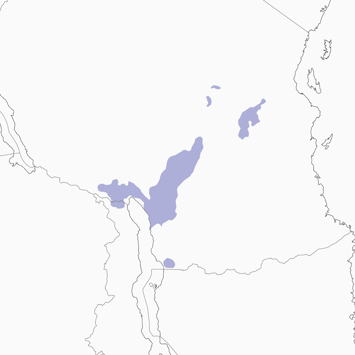 Dark Batis, Distribution 1
