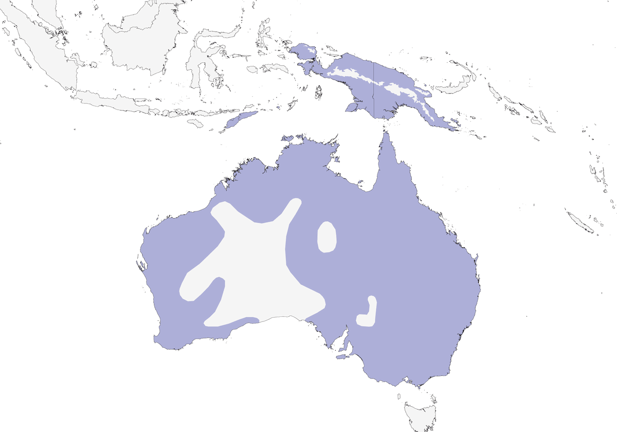 Australasian Darter, Distribution 1