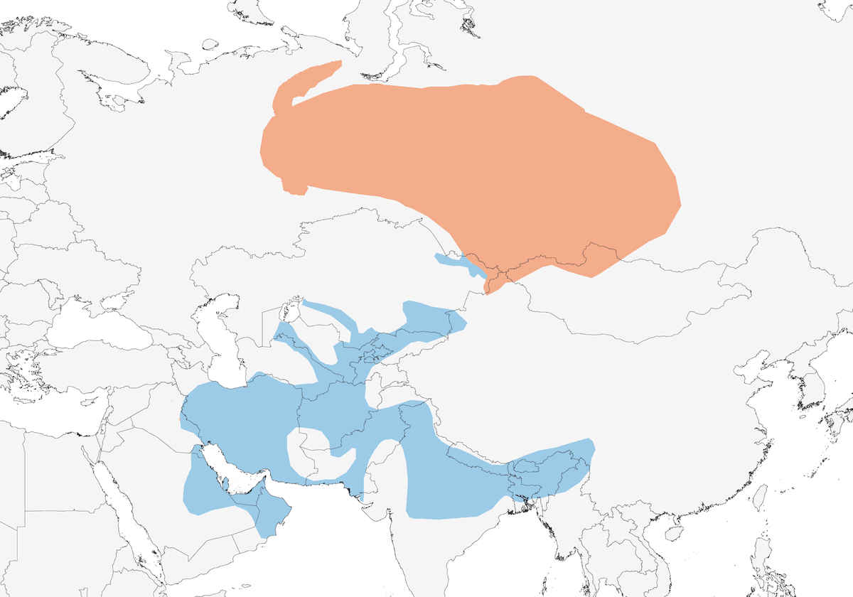 Black-throated Thrush, Distribution 1