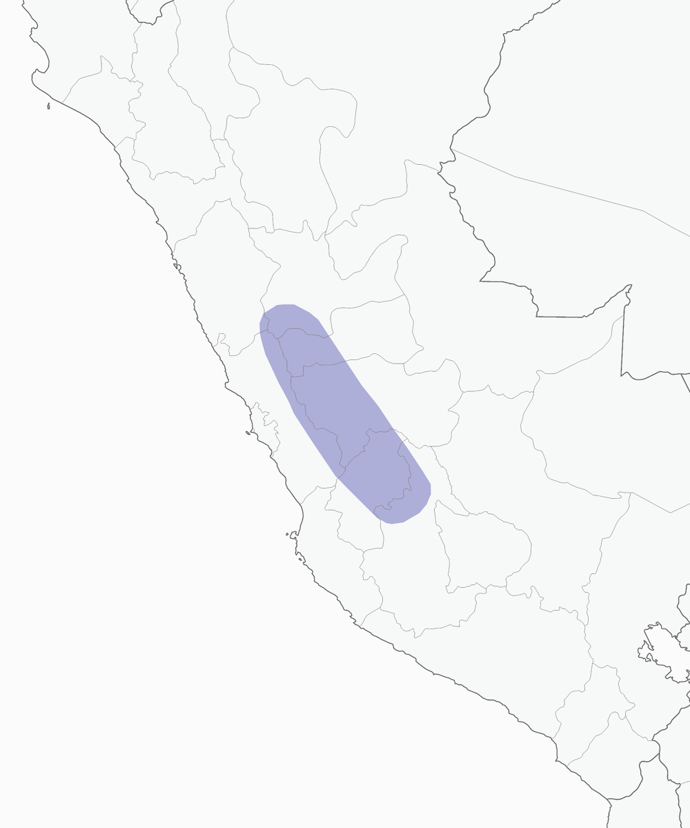 Dark-winged Miner, Distribution 1