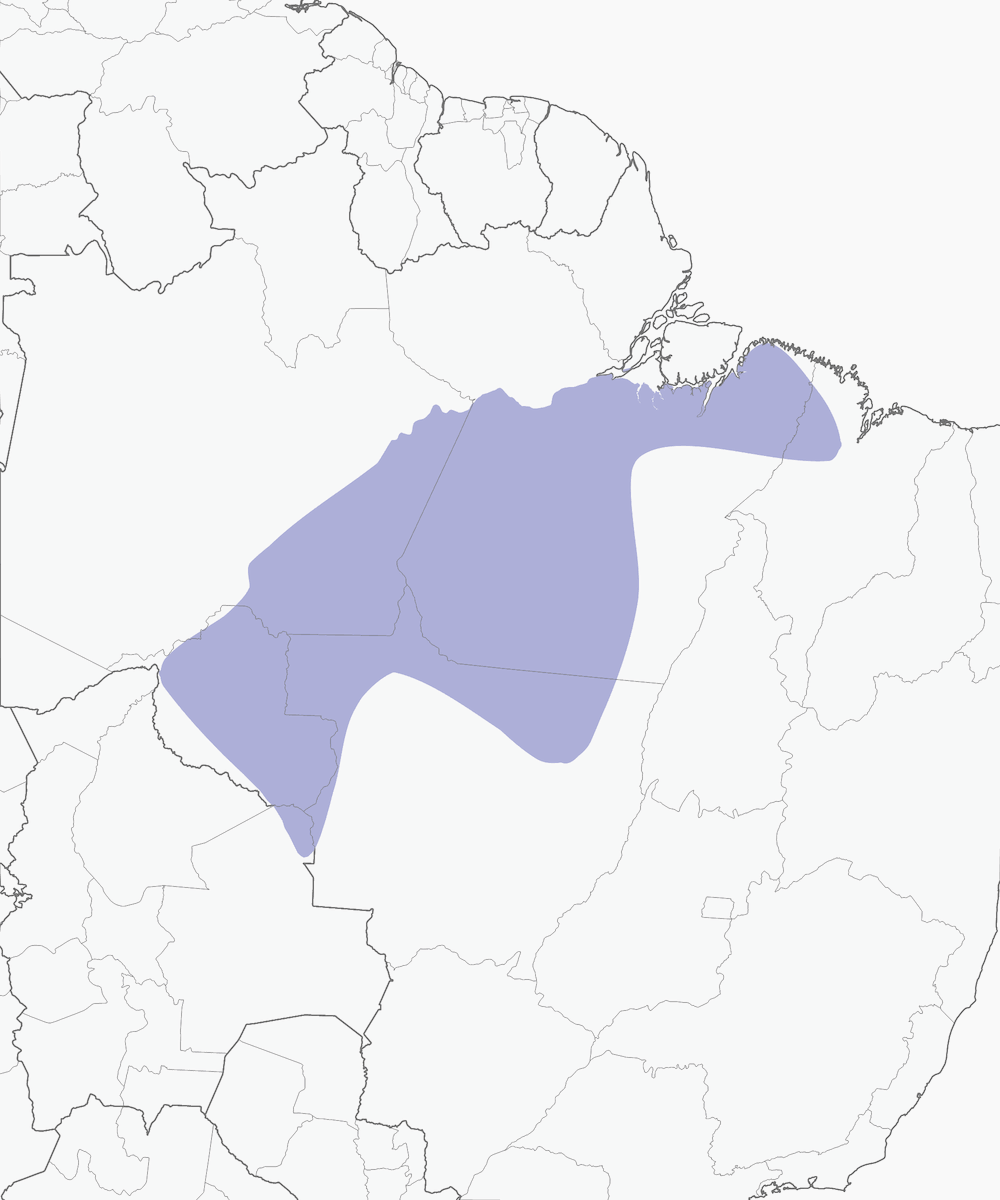Dark-winged Trumpeter, Distribution 1