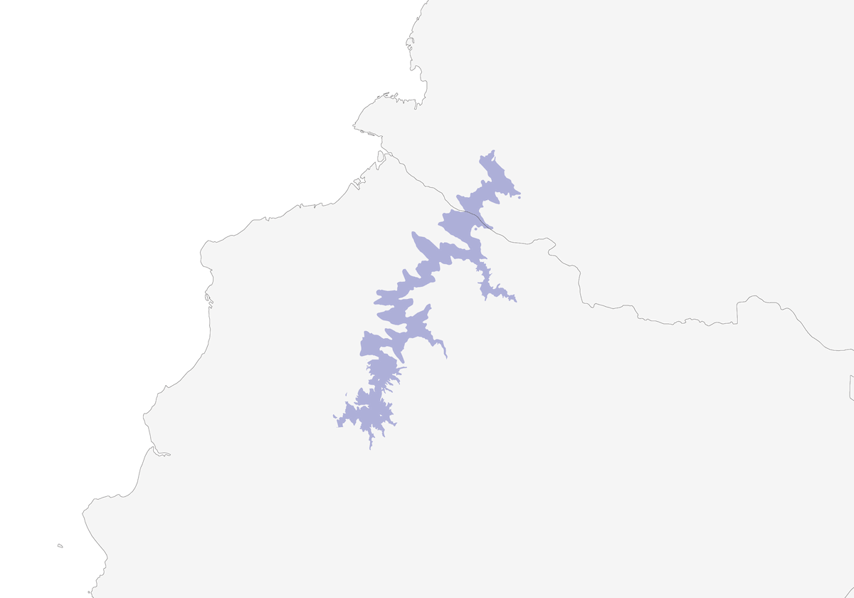 Codorniz Silbadora Dorsioscura, Distribución 1
