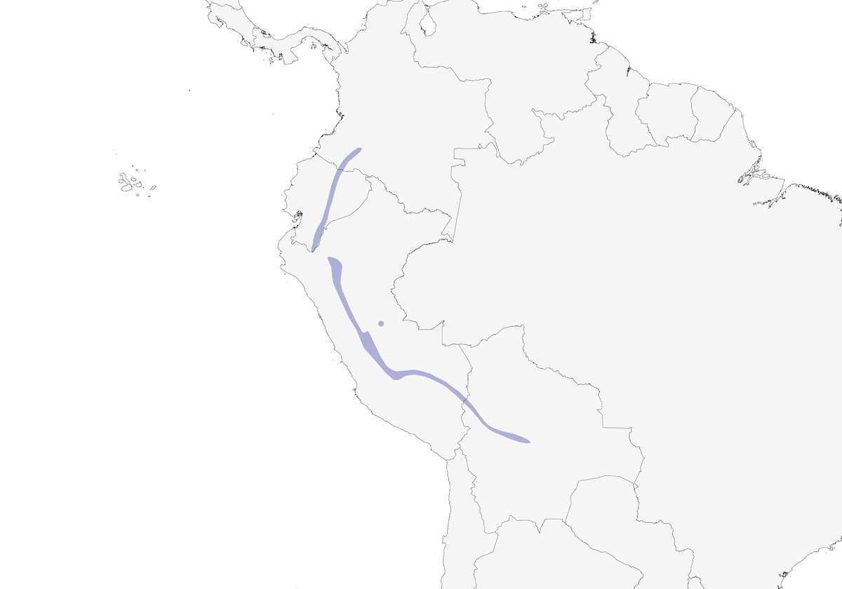 Deep-blue Flowerpiercer, Distribution 1