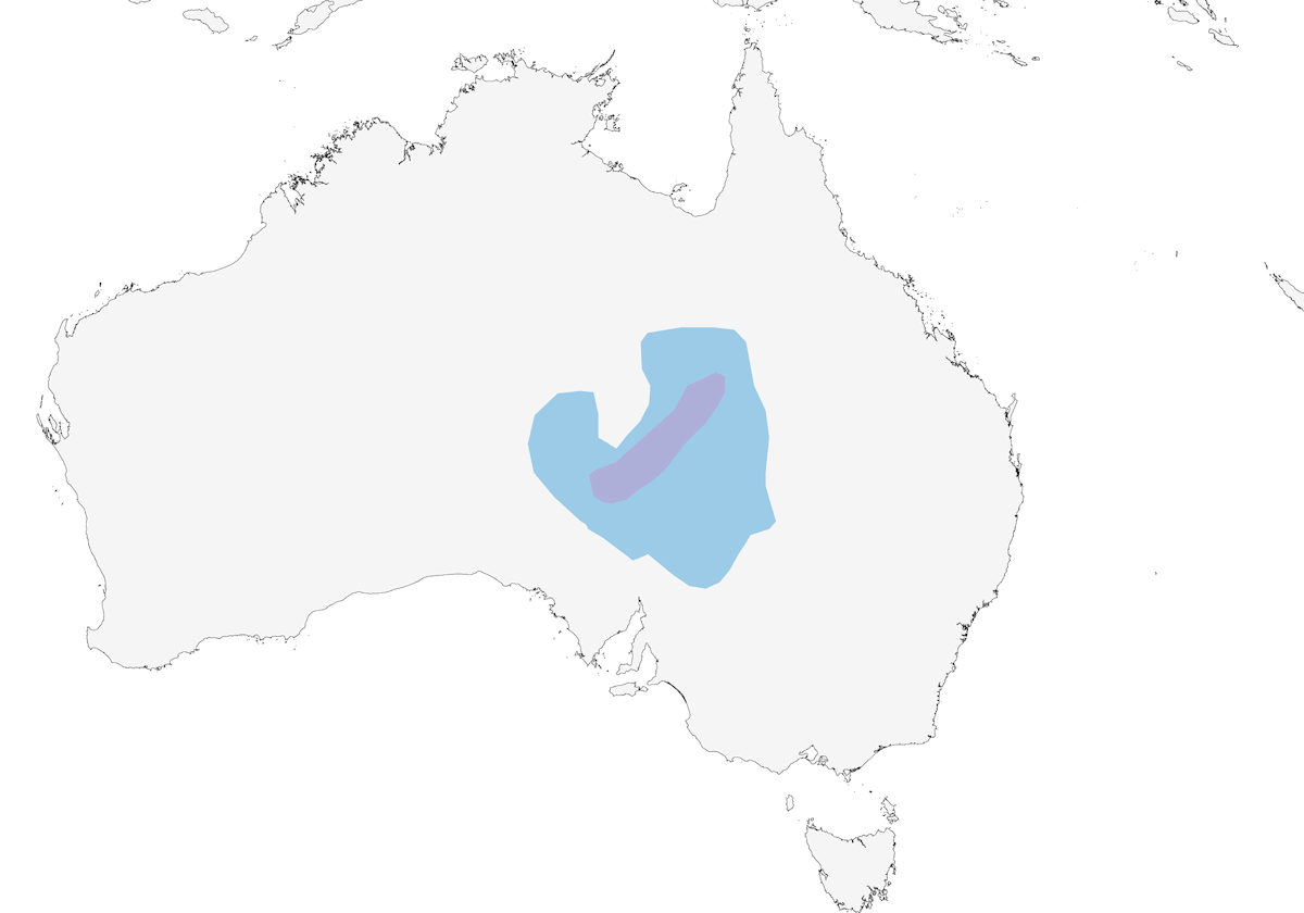 Gibberbird, Distribution 1