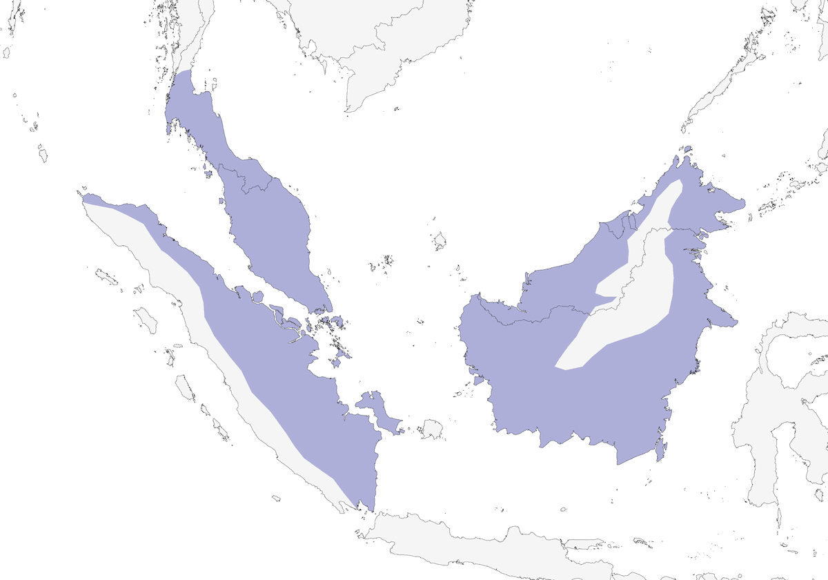 Diard's Trogon, Distribution 1