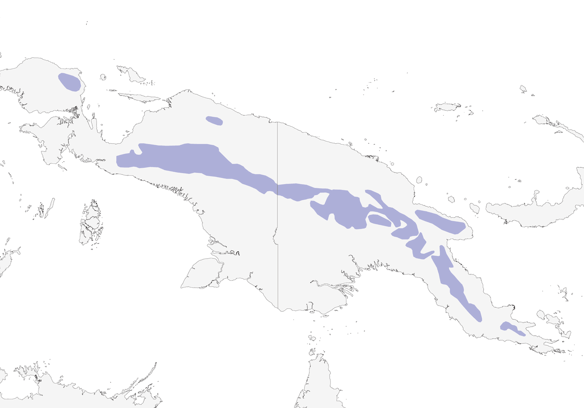 Codaventaglio dimorfo, Distribuzione 1