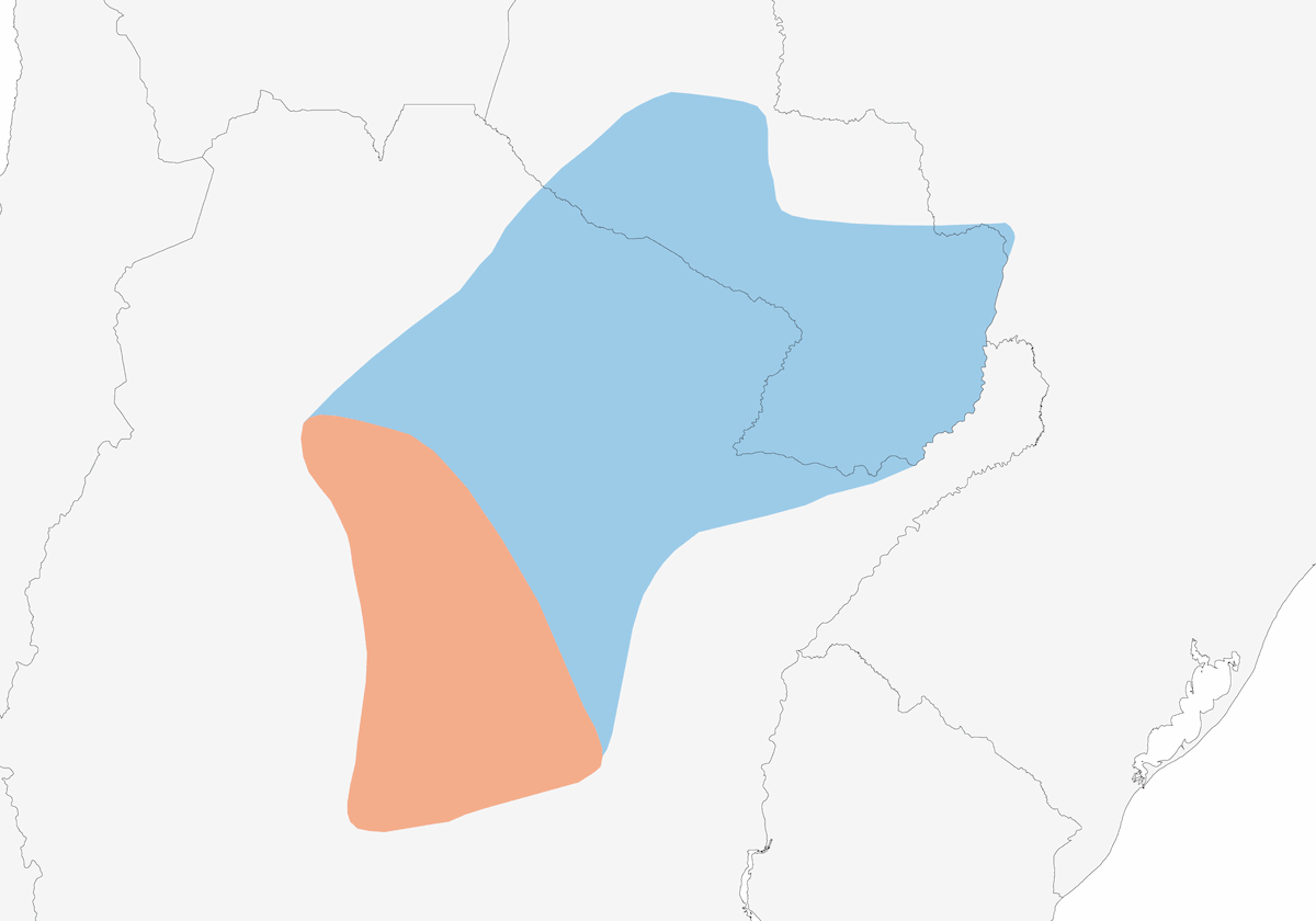 Doradito de Dinelli, Distribución 1