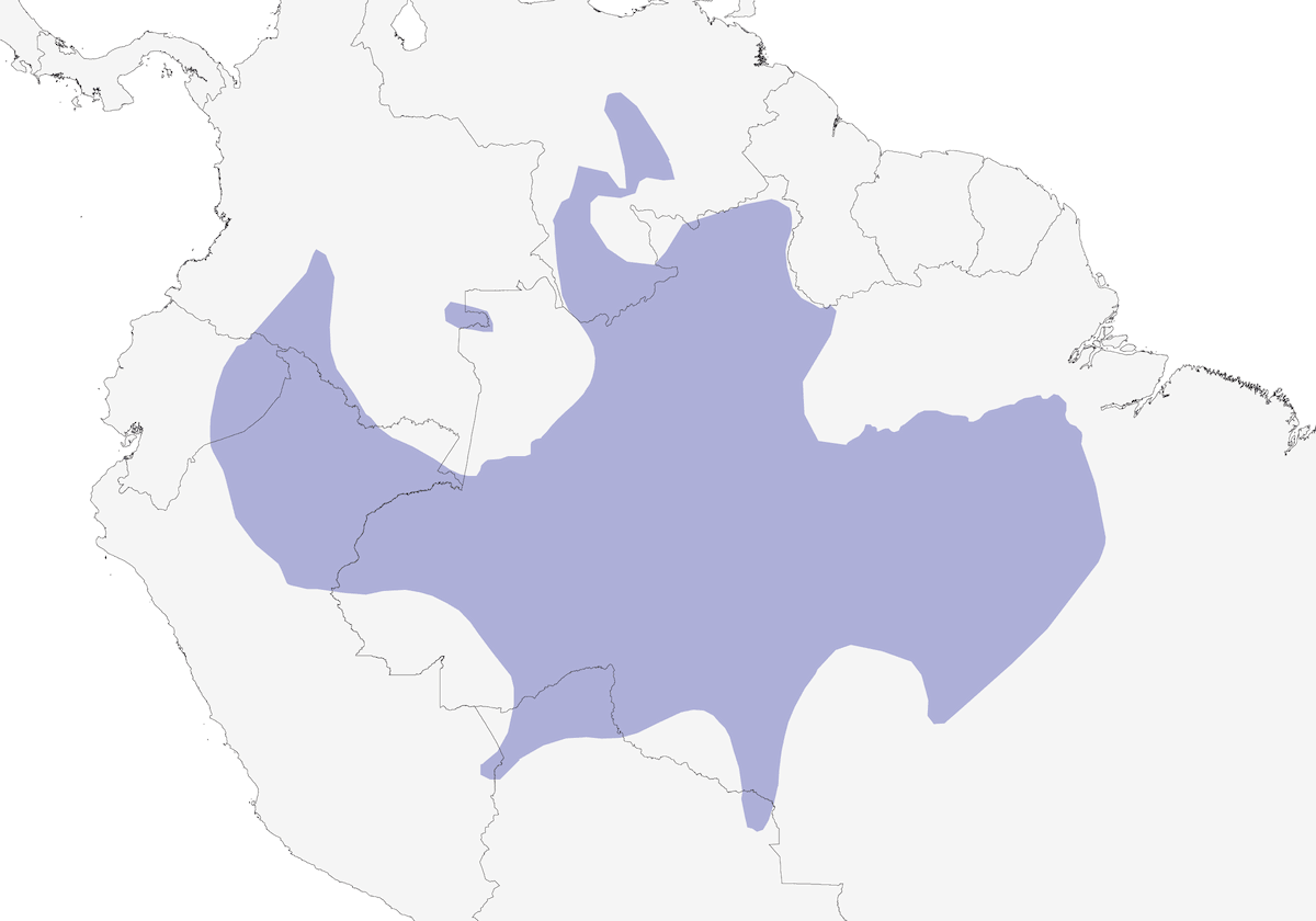 Dot-backed Antbird, Distribution 1