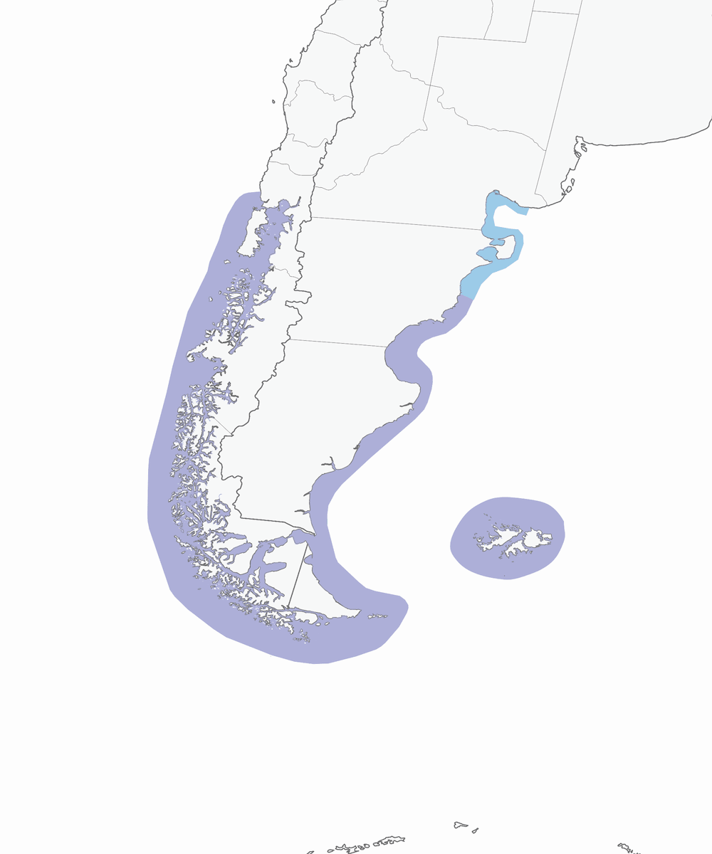 Gabbiano delfino, Distribuzione 1