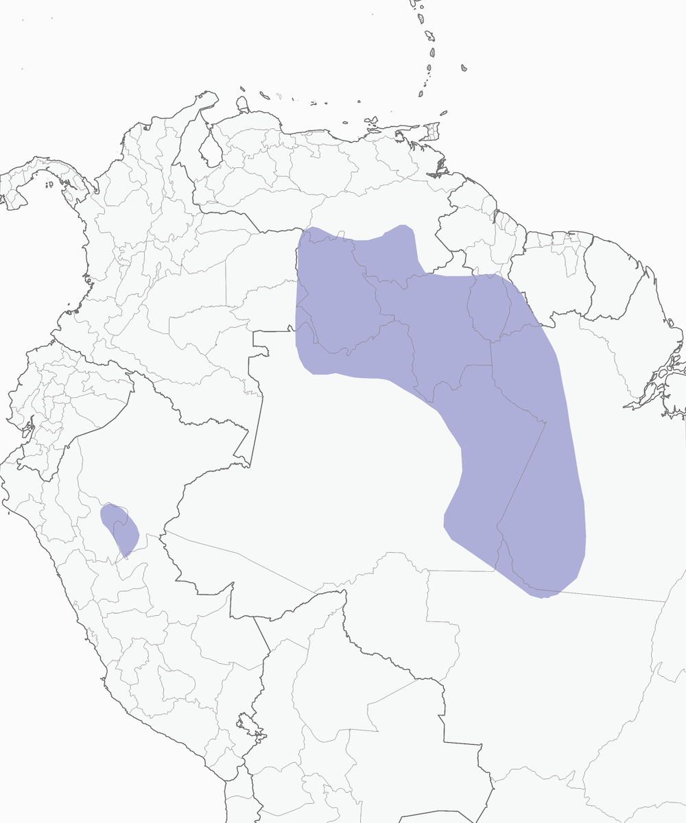 Dotted Tanager, Distribution 1