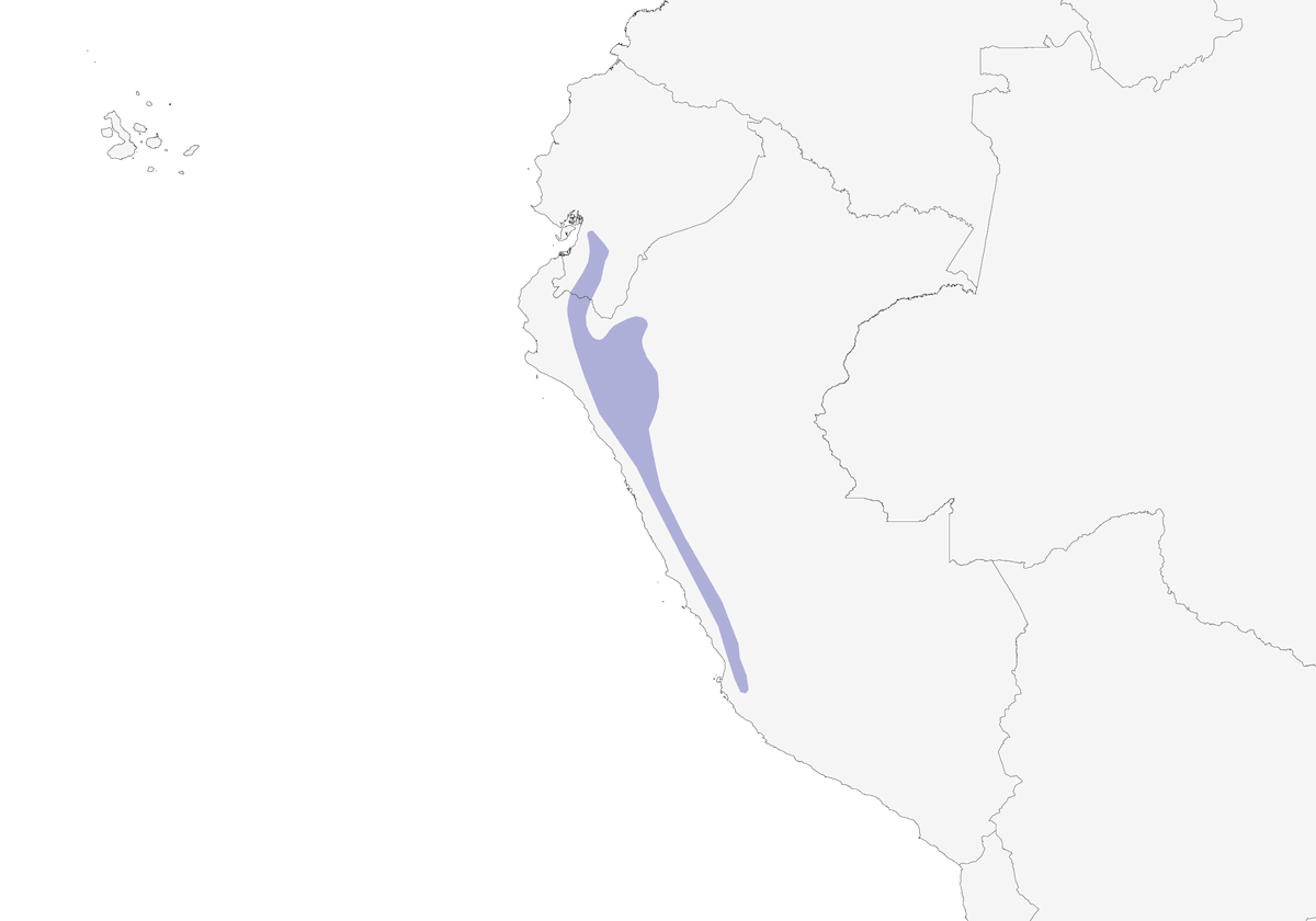 Drab Seedeater, Distribution 1