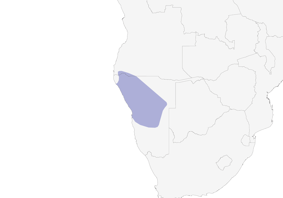 Calao de Damara, Distribution 1
