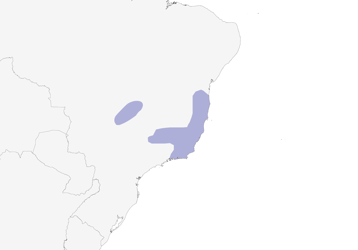 Dubois's Seedeater, Distribution 1