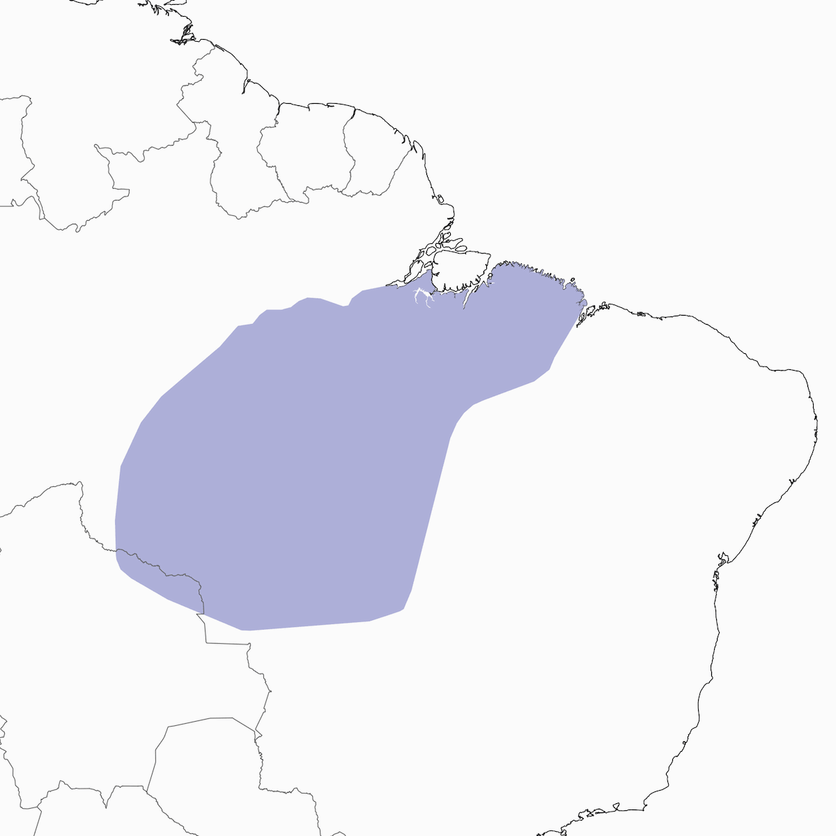 Rampichino cappuccio scuro, Distribuzione 1