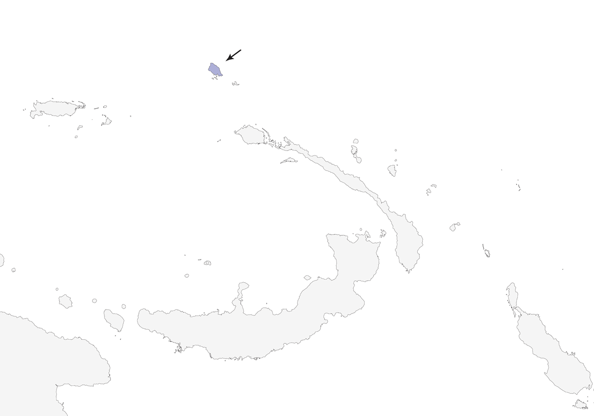 Papamoscas de Mussau, Distribución 1