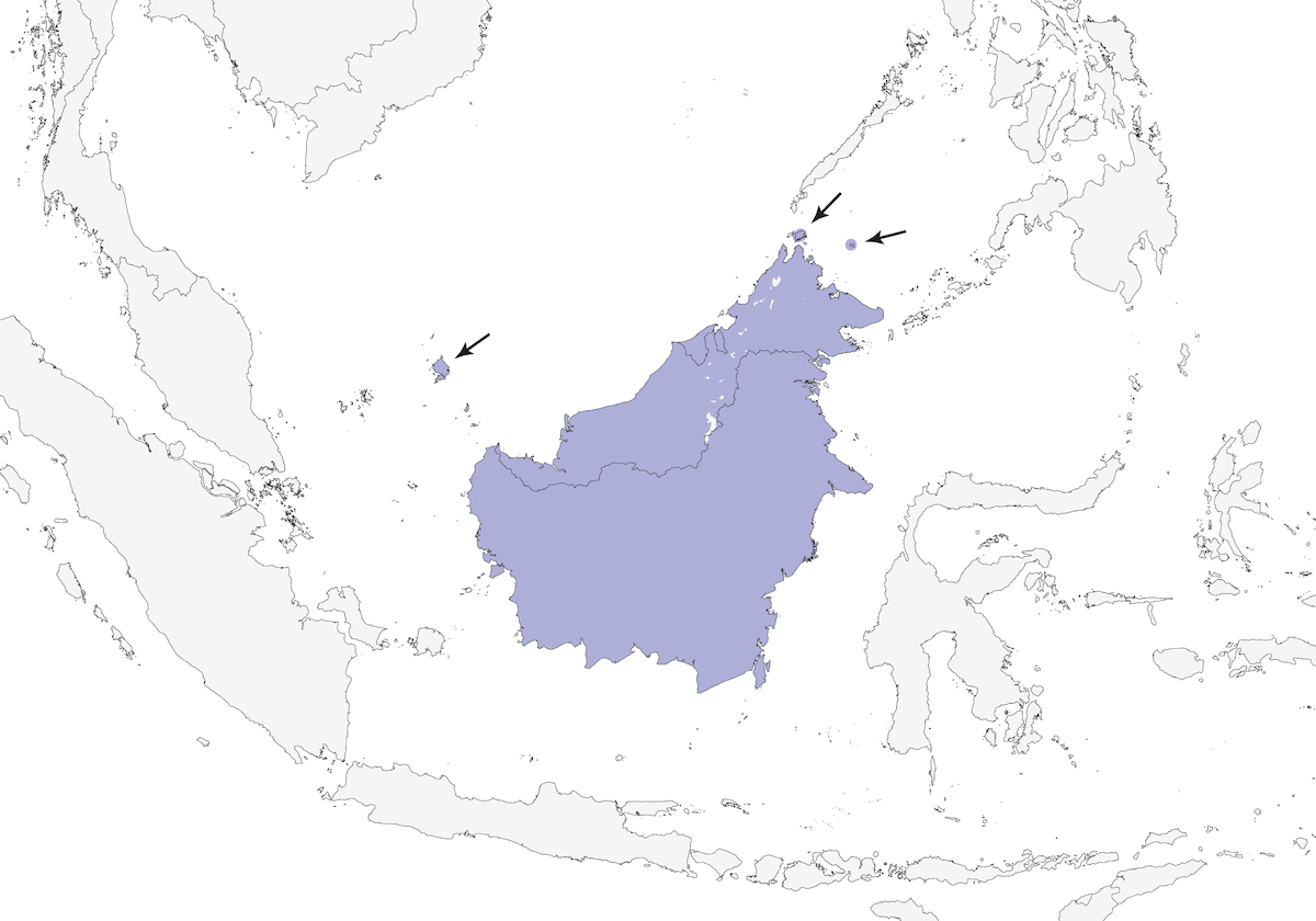 Munia bruna, Distribuzione 1