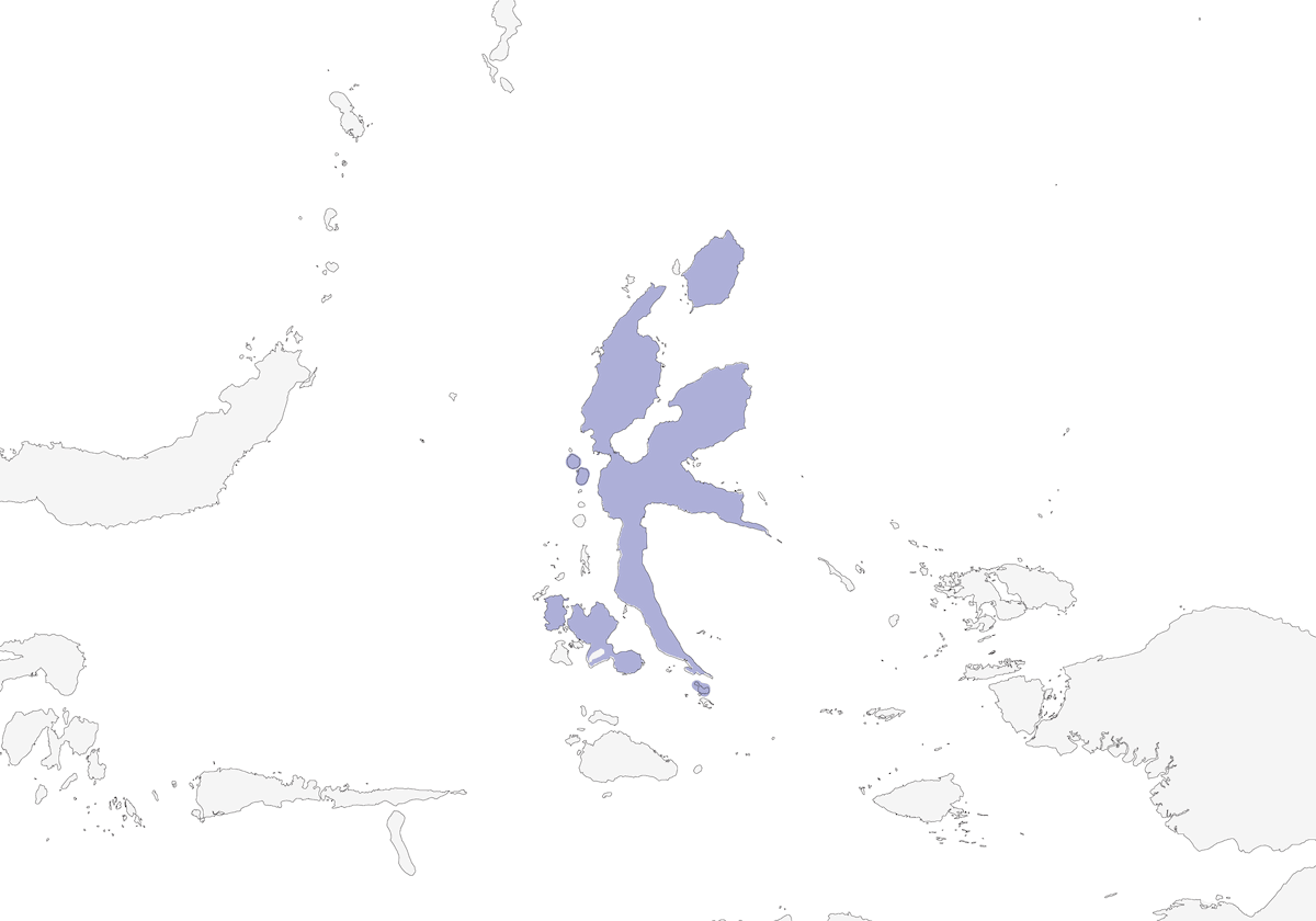 Myzomèle des Moluques, Distribution 1