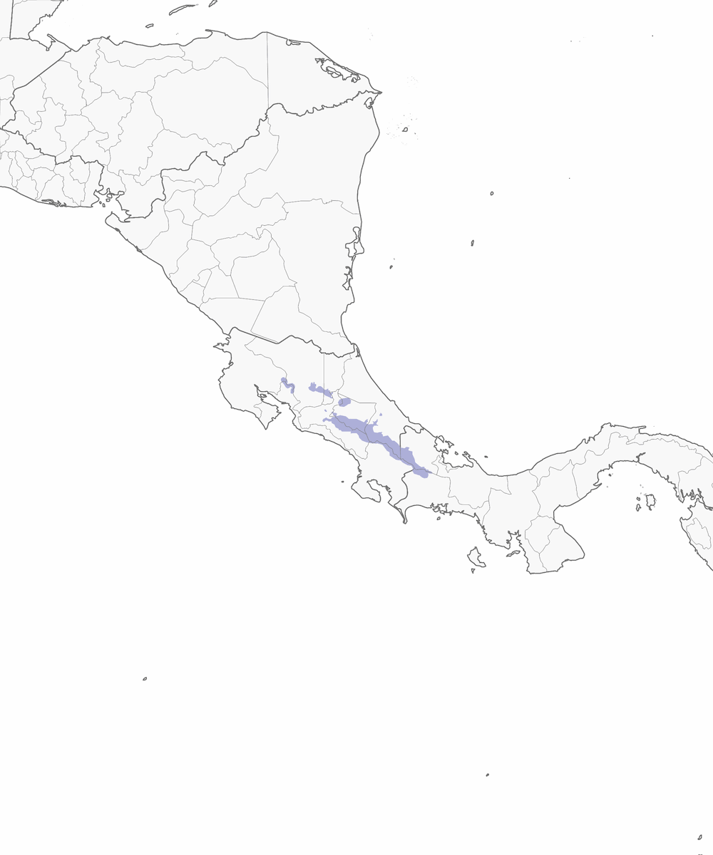 Dusky Nightjar, Distribution 1