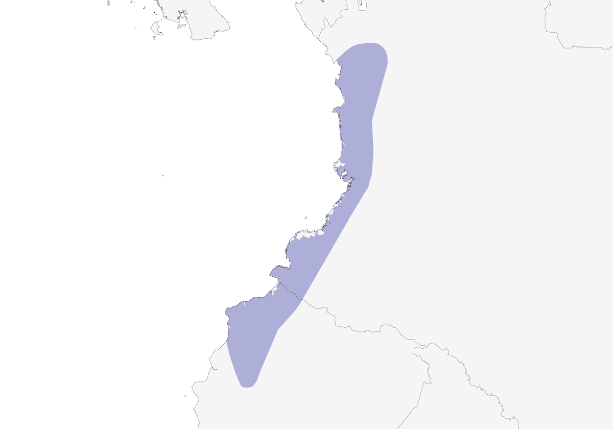 Dusky Pigeon, Distribution 1
