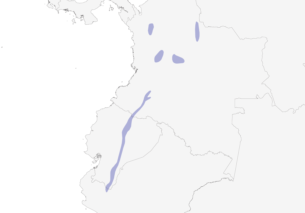 Dusky Piha, Distribution 1