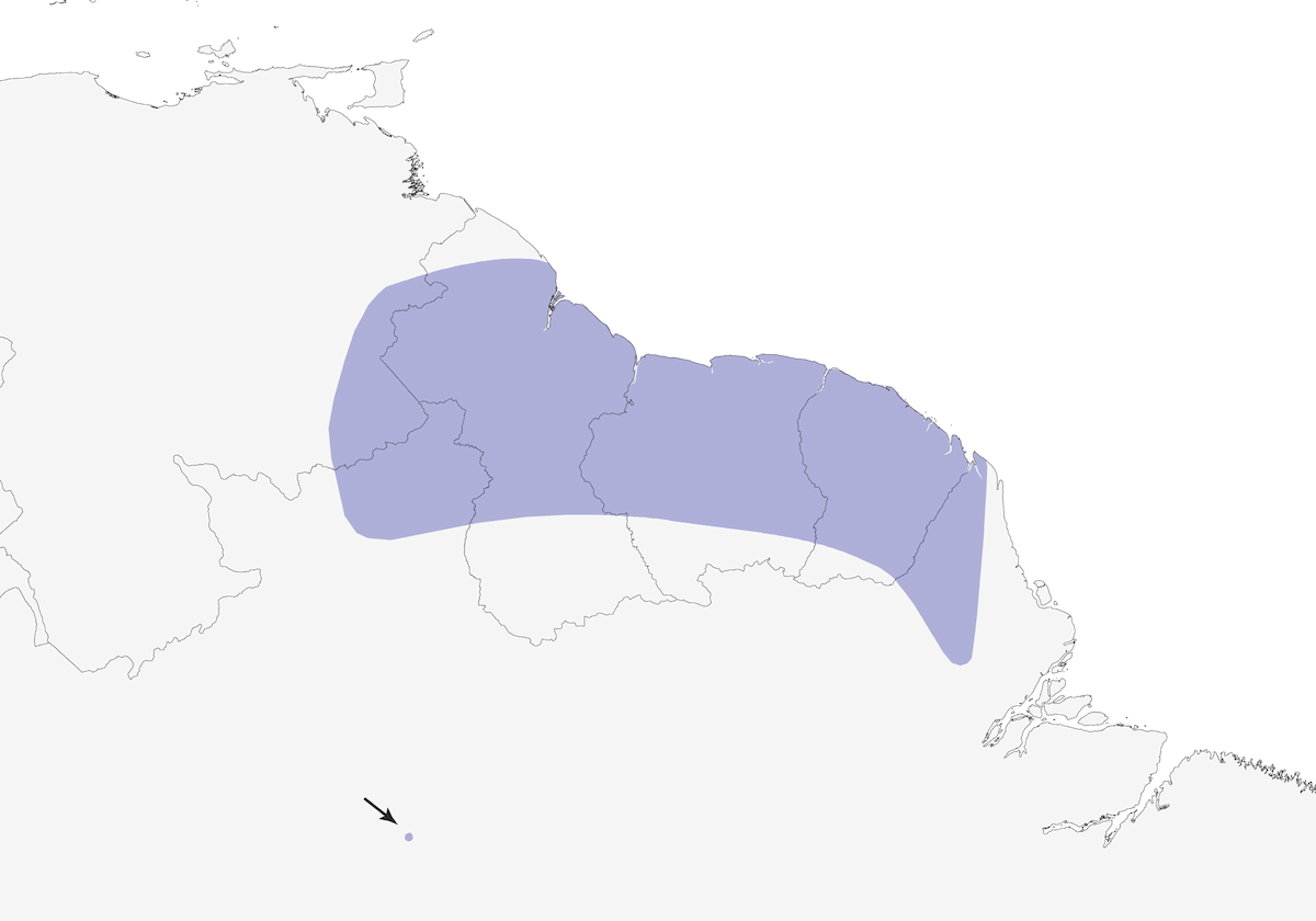 Porfiròlema, Distribuzione 1