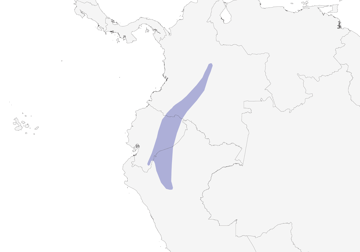 Dusky Spinetail, Distribution 1