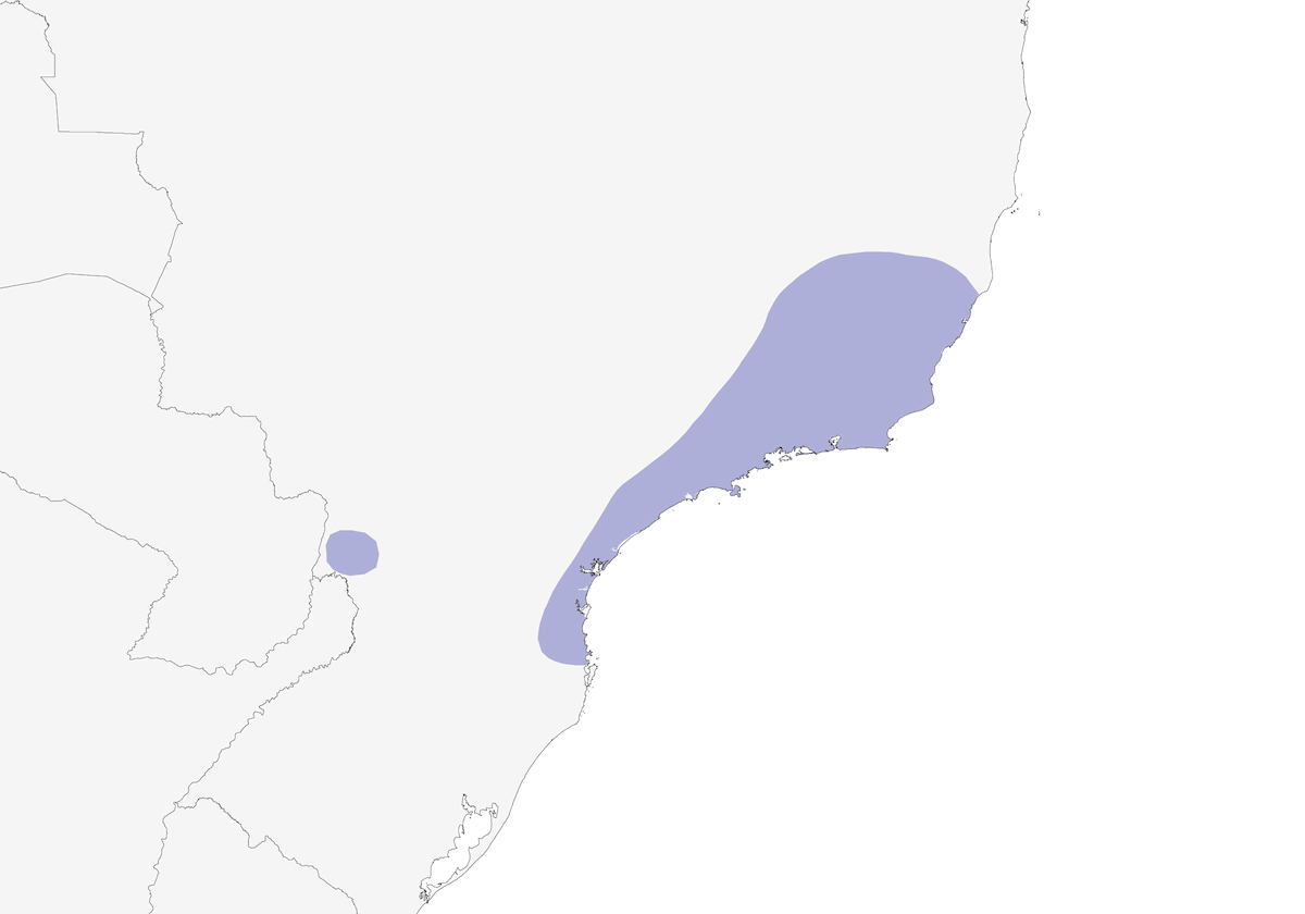 Ermite de Squale, Distribution 1