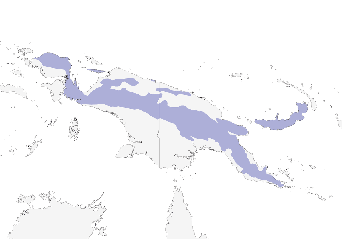Casoar de Bennett, Distribution 1
