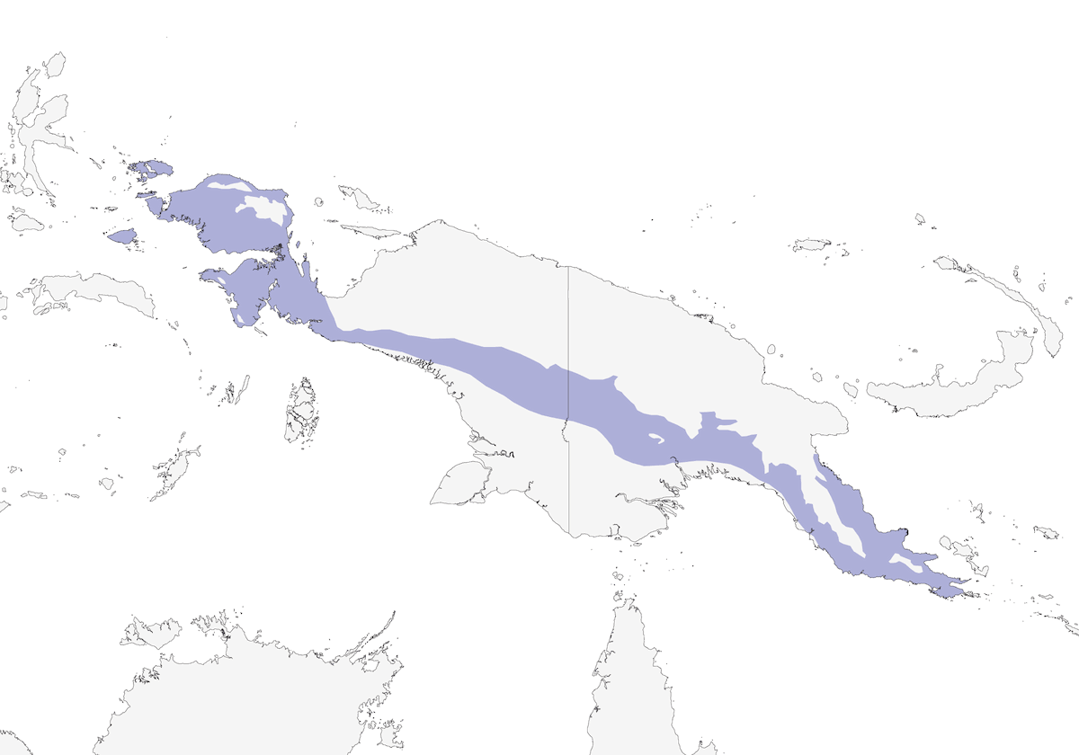 Colomba frugivora nana, Distribuzione 1