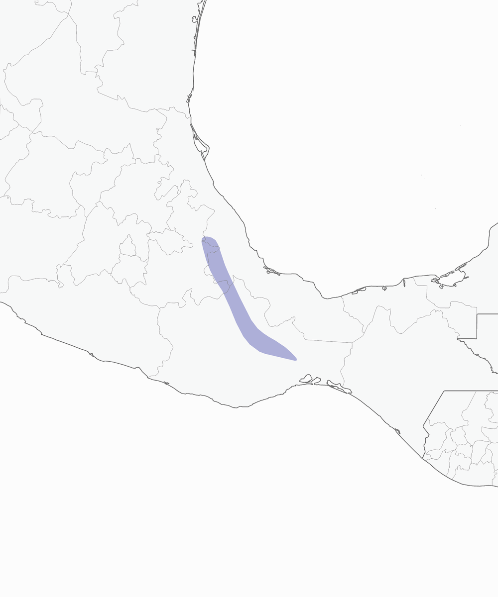 Ghiandaia nana, Distribuzione 1