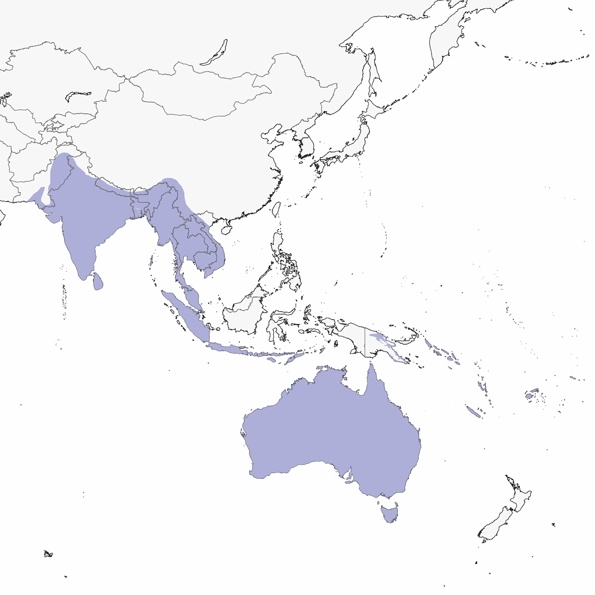 Barbagianni orientale, Distribuzione 1