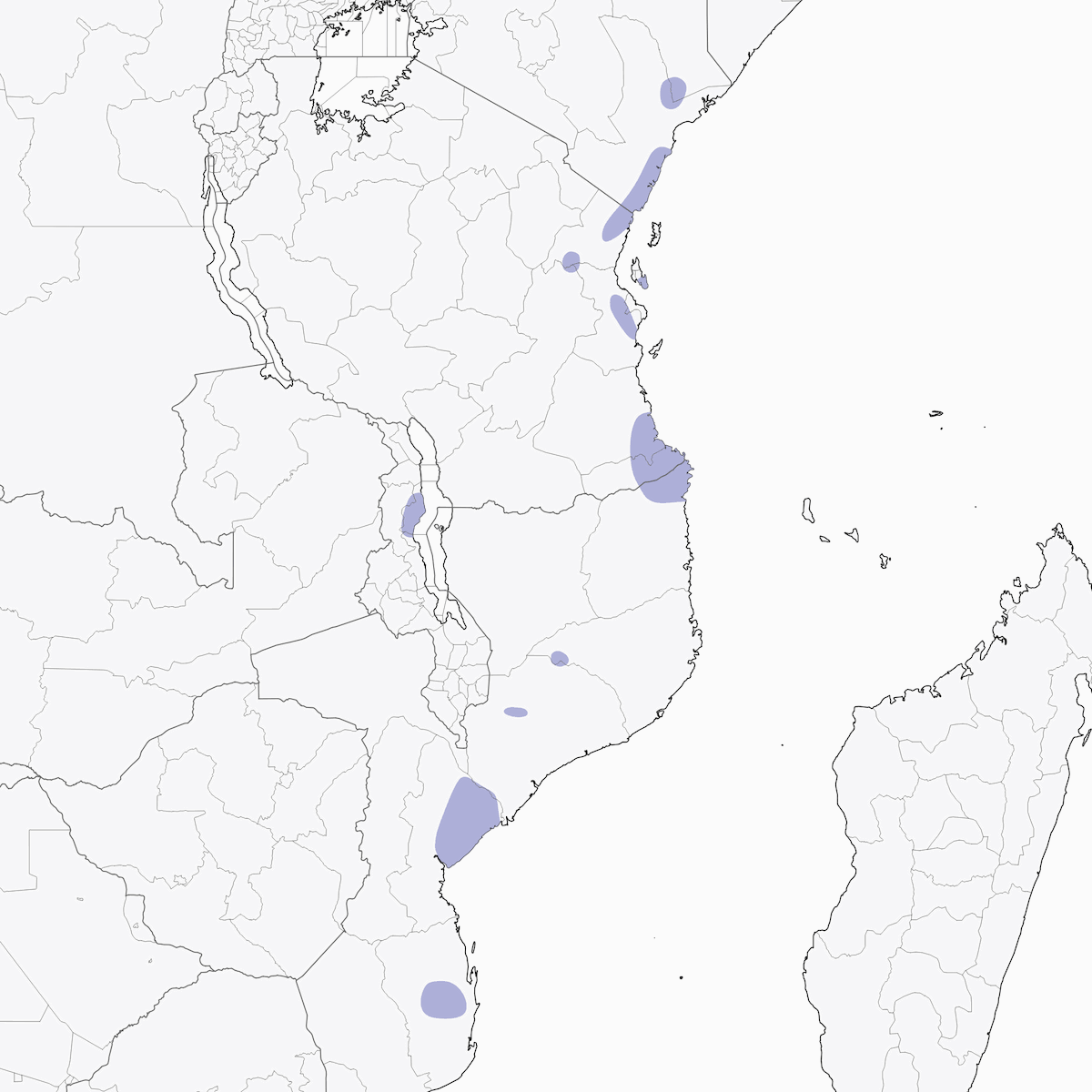 East Coast Akalat, Distribution 1