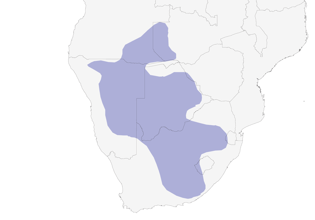 Eastern Clapper Lark, Distribution 1