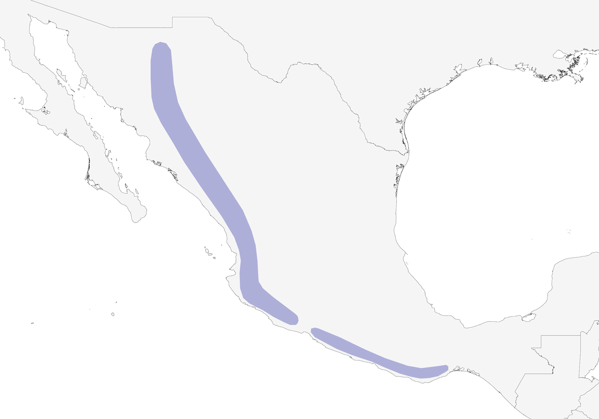 Eared Poorwill, Distribution 1