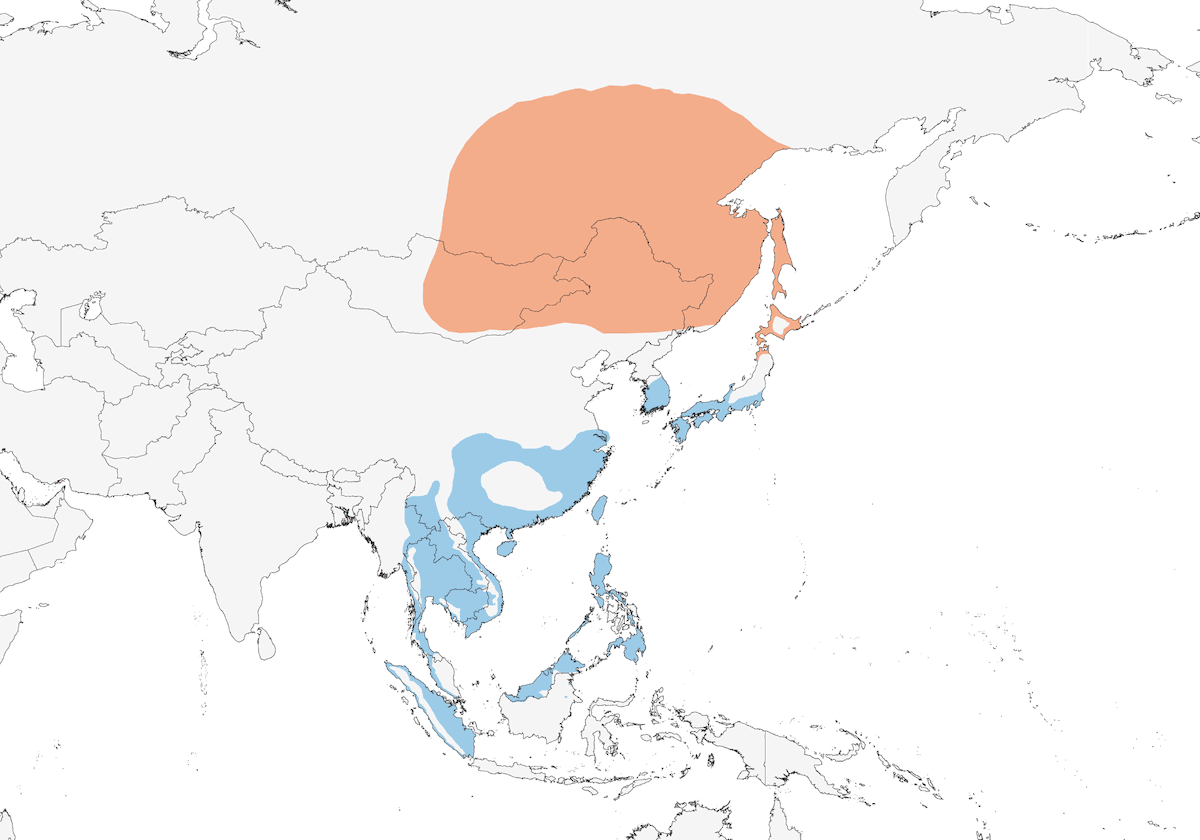 Falco di palude orientale, Distribuzione 1