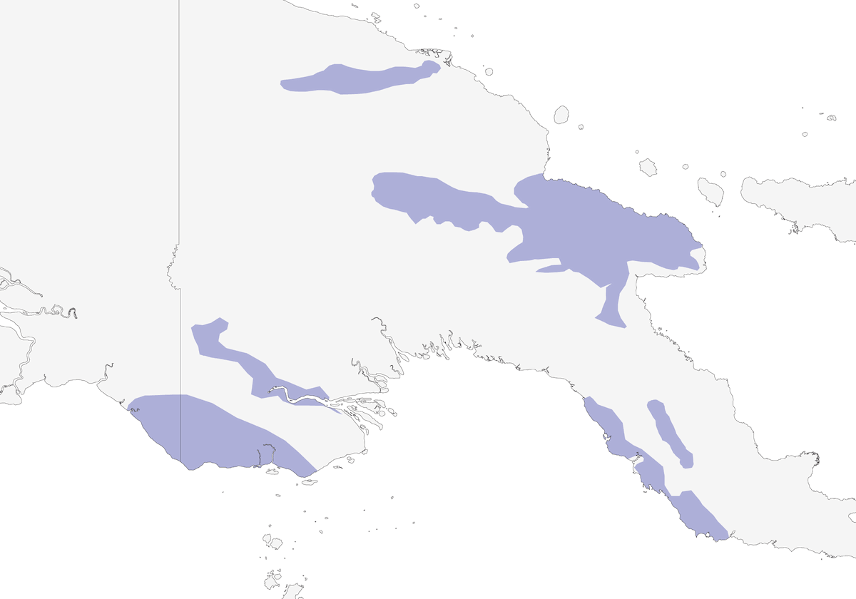 Falco di palude papuano, Distribuzione 1