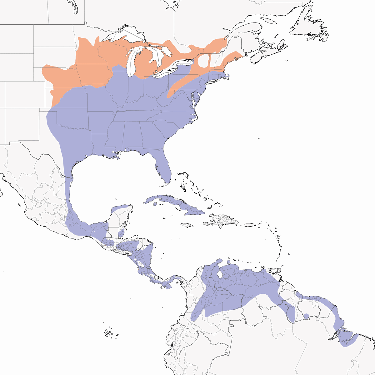 Pradero oriental, Distribución 1