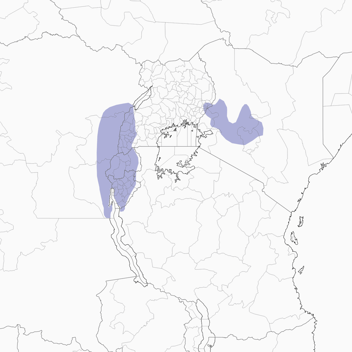 Kikuyu-Bergbülbül, Verbreitung 1